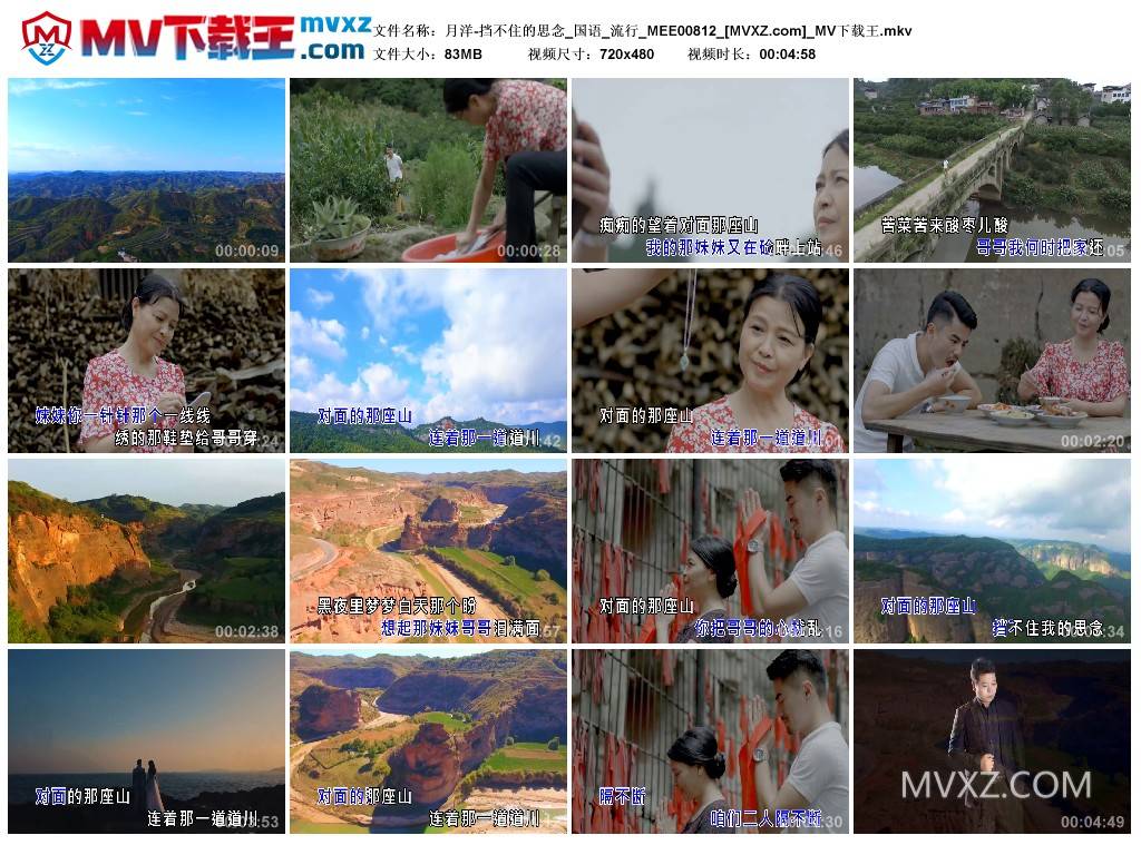 月洋-挡不住的思念_国语_流行_MEE00812